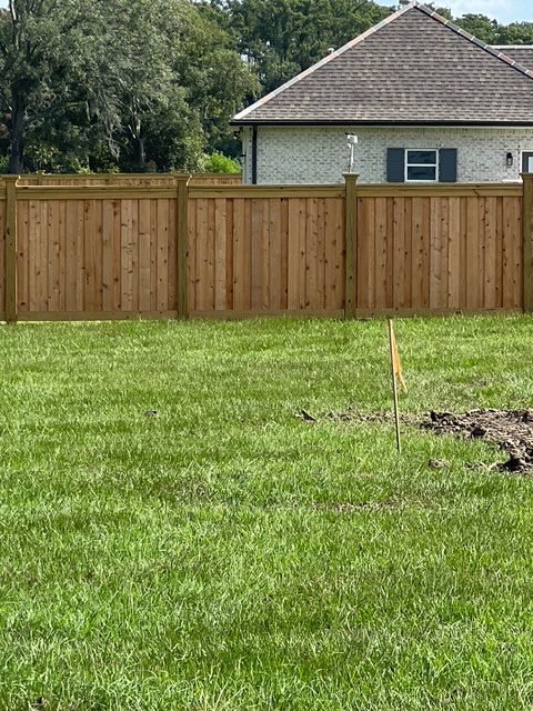 cedar_vertical_11