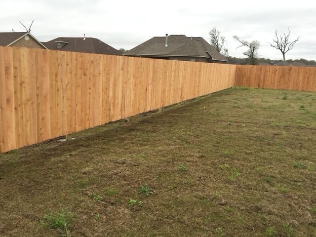 cedar_vertical_17