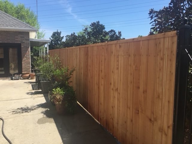 cedar_vertical_18