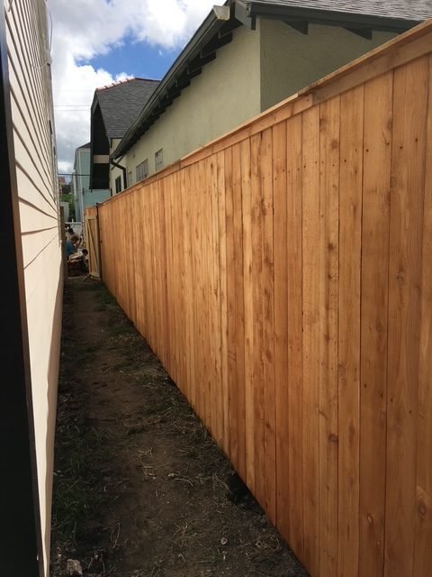 cedar_vertical_22