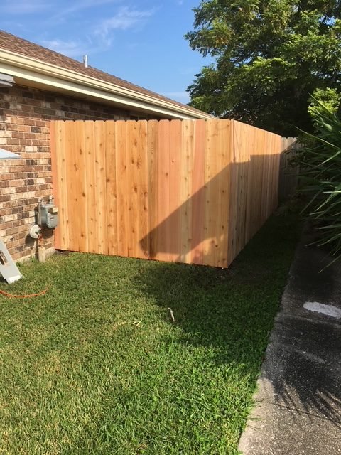 cedar_vertical_31