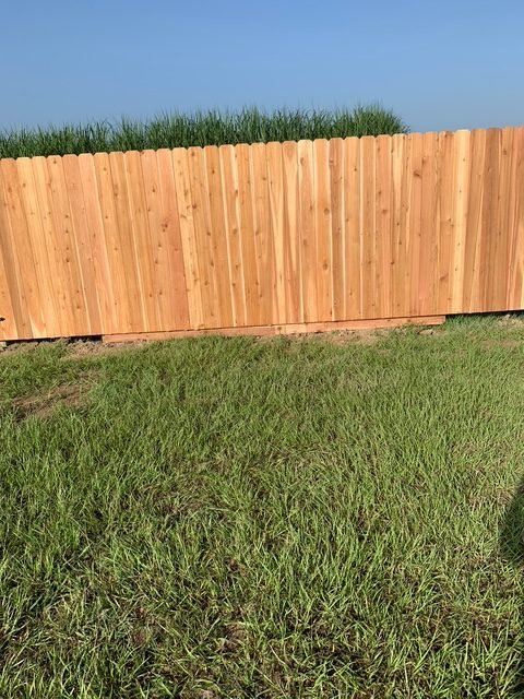 cedar_vertical_4