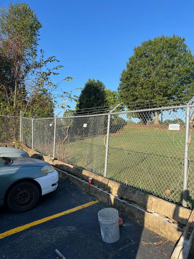 chain-link-11